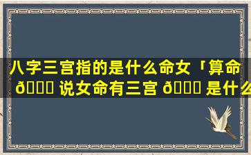 八字三宫指的是什么命女「算命 🐈 说女命有三宫 🐟 是什么意思」